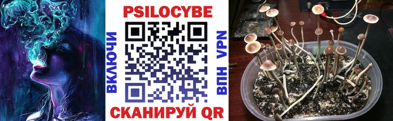 Псилоцибиновые грибы прущие грибы  Купить  Цивильск 